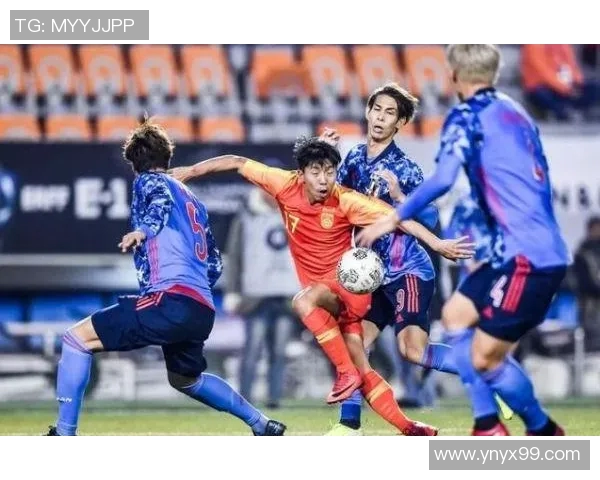 西安排球队战术意识引发热议球迷对战术选择产生分歧